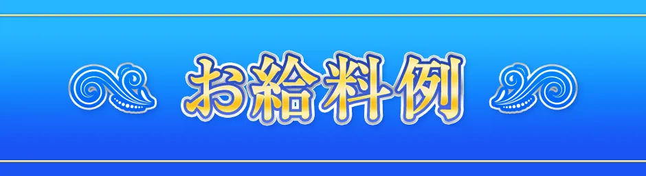 お給料例