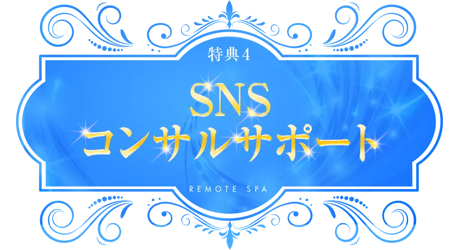 SNSコンサルサポート