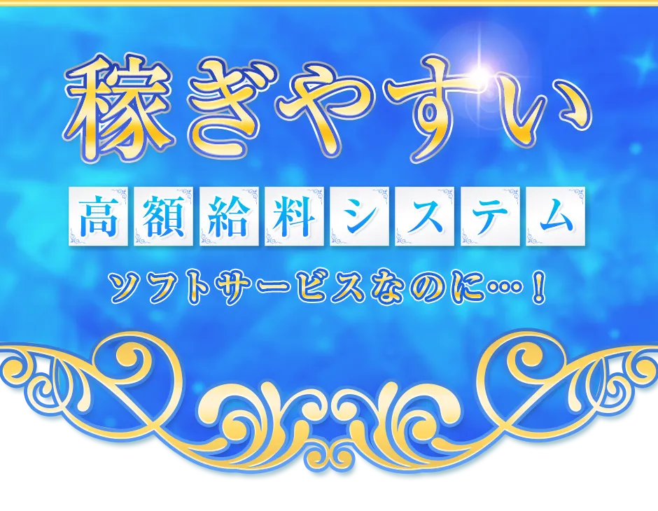 稼ぎやすい高額給料システム